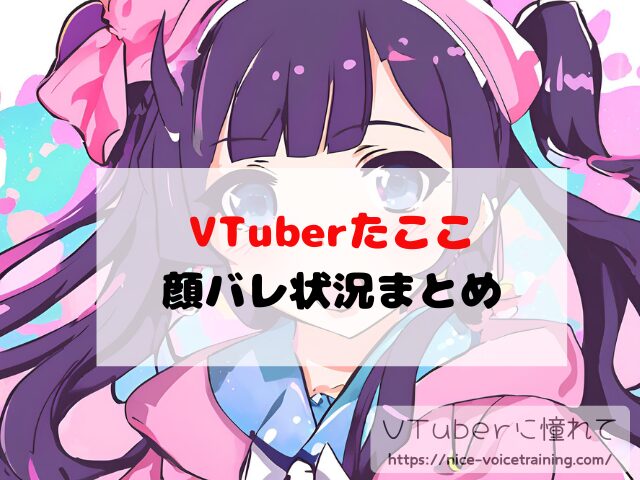 たここ VTuber 中の人 顔バレ 前世 年齢 プロフィール