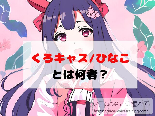 ラプラス・ダークネス VTuber 中の人 顔バレ 前世 年齢 プロフィール