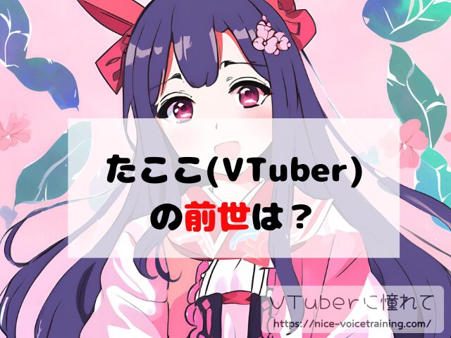 たここ VTuber 中の人 顔バレ 前世 年齢 プロフィール