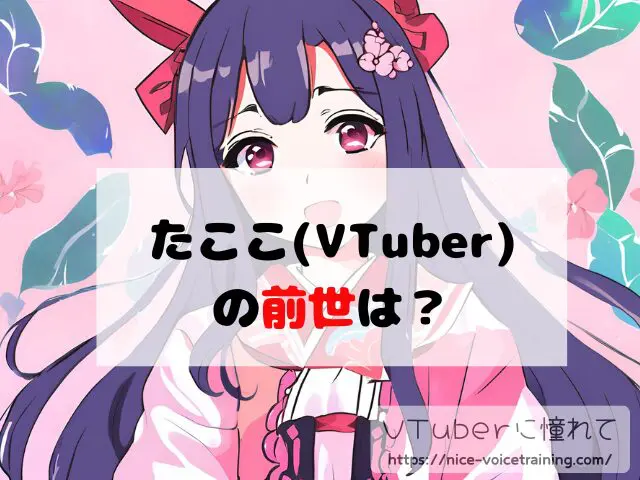 たここ VTuber 中の人 顔バレ 前世 年齢 プロフィール