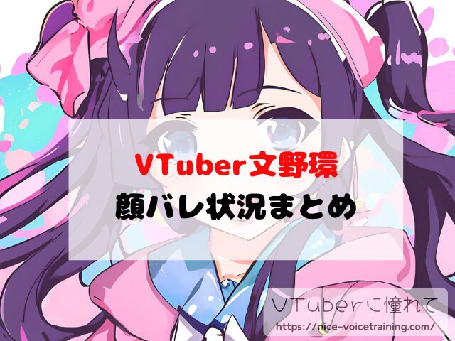 文野環 VTuber 顔バレ 素顔 前世 中の人